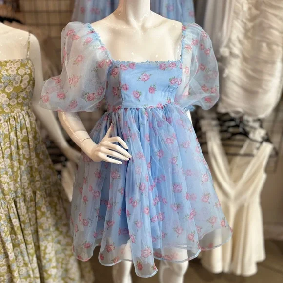 Mable | Dresses | Soft Blue Floral Organza Babydoll Mini Dress